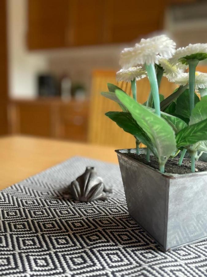Roehrshof Apartment Bispingen Ngoại thất bức ảnh