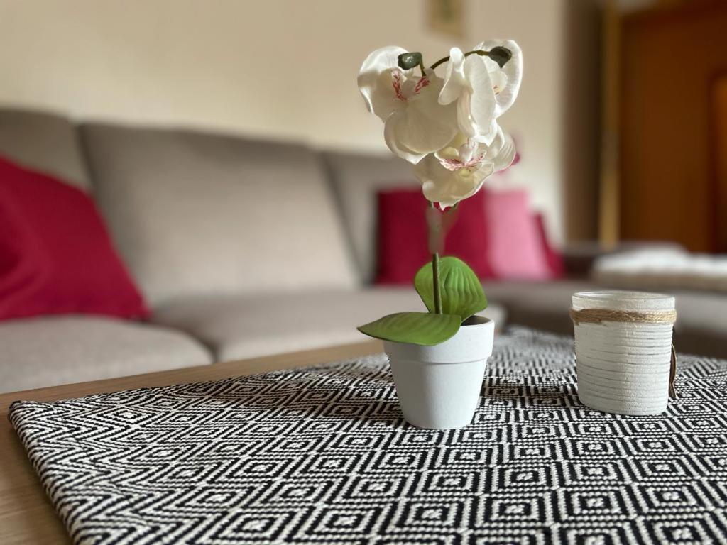 Roehrshof Apartment Bispingen Ngoại thất bức ảnh